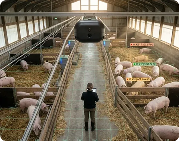 Soporte local en España