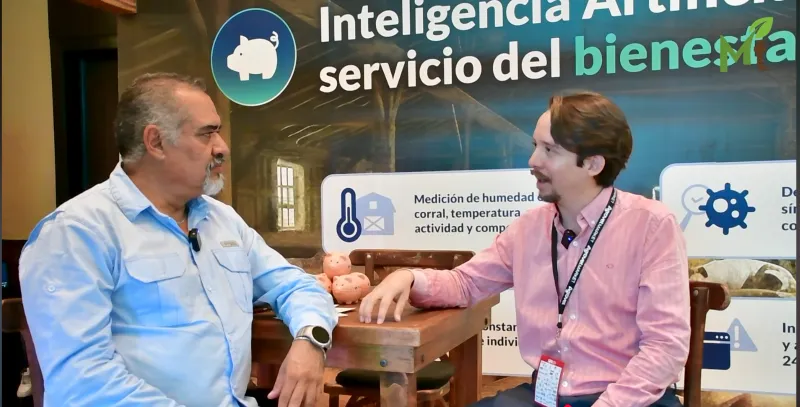 Optimiza la producción porcina con IA! Aprende cómo la inteligencia artificial revoluciona el mundo