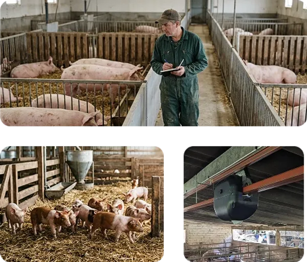 Beyond FarmGuardian Ser Partner